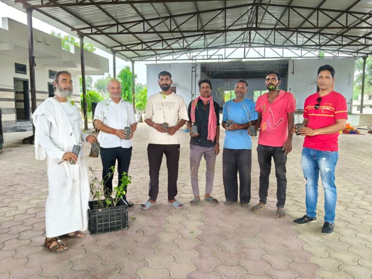 img-20250826-wa00101756212447 (1)