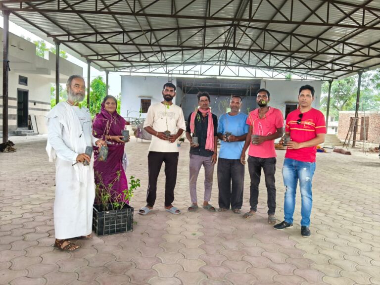 WhatsApp Image 2026-03-26 at 1.26.49 PM (2)